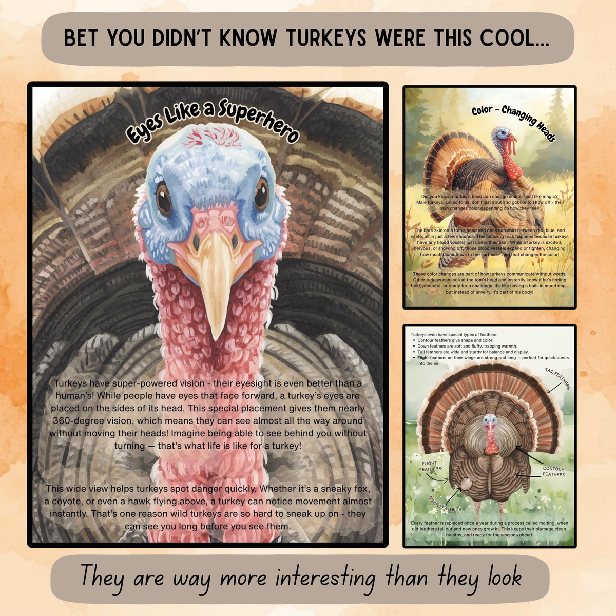 The Terrific Turkey