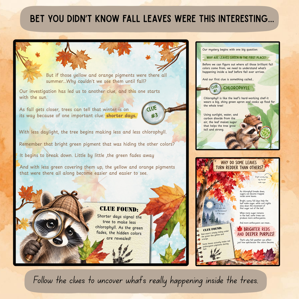 The Hidden Colors of Fall