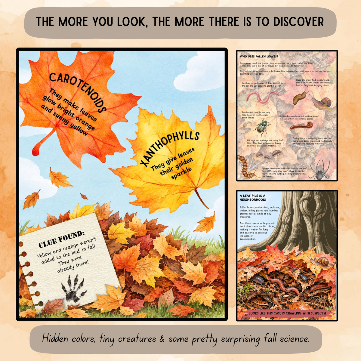 The Hidden Colors of Fall