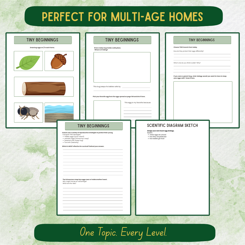 Bug Journal Bundle All Levels (Pre-K–Middle School)