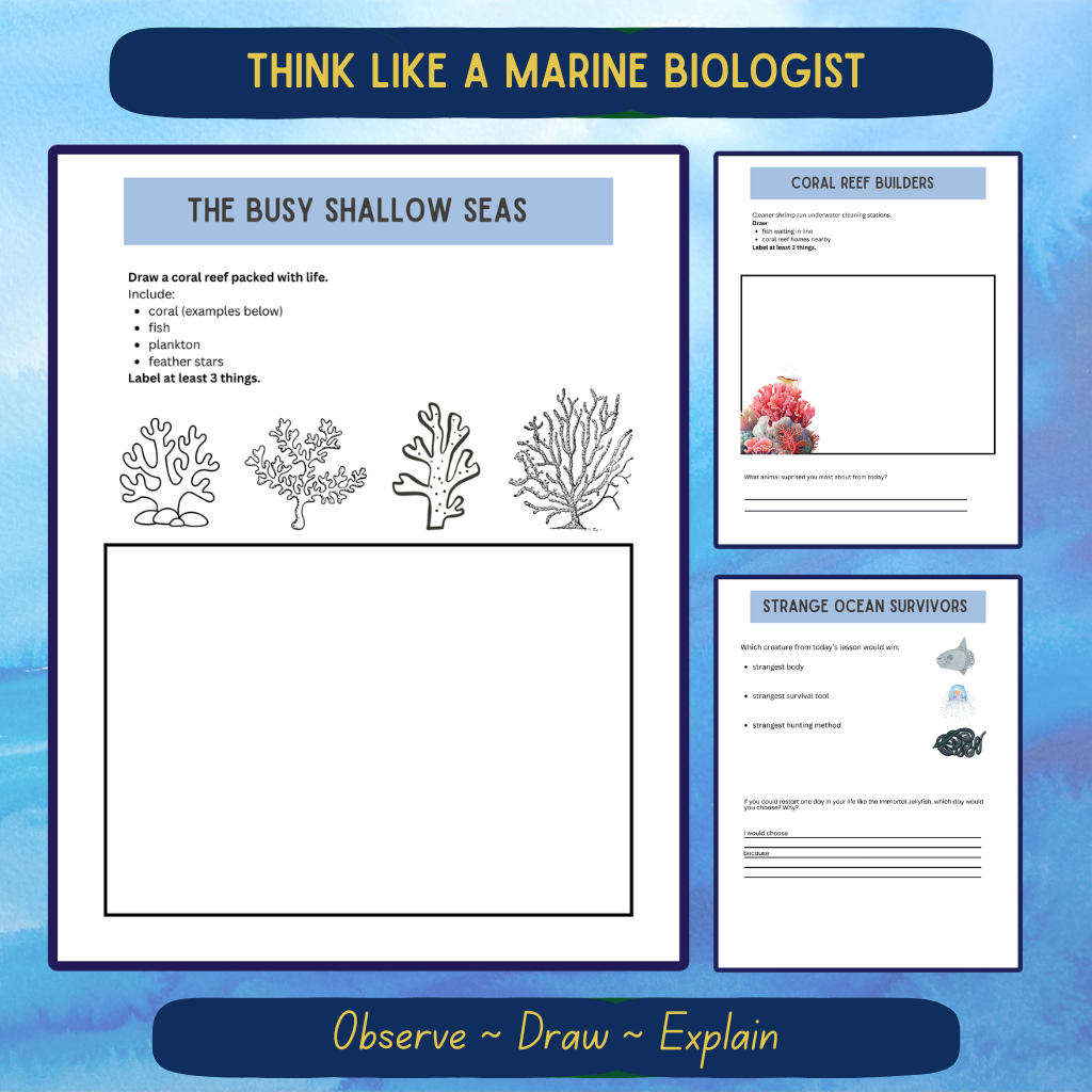 Early Elementary Aquatic Journal