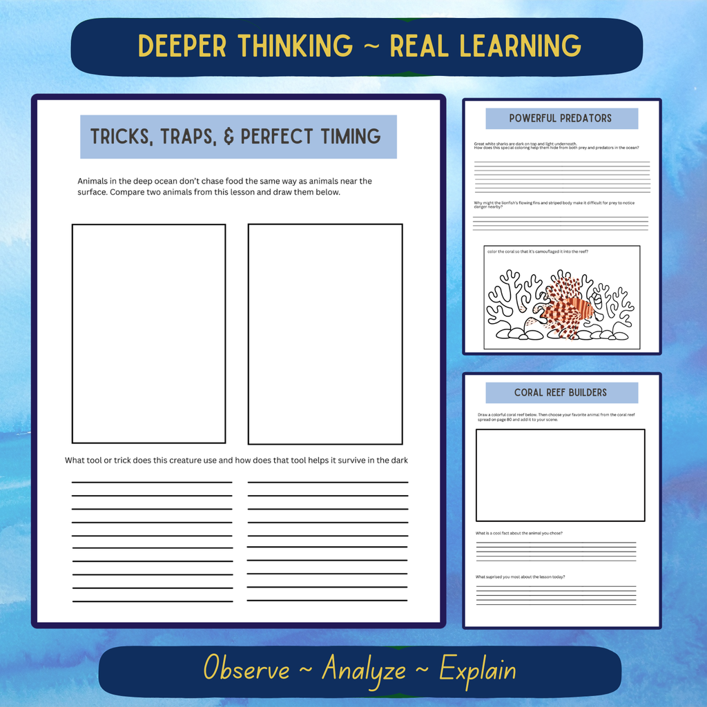 Upper Elementary Aquatic Journal