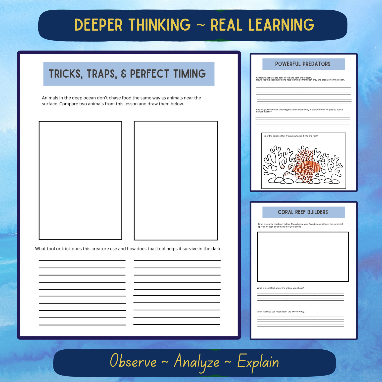 Upper Elementary Aquatic Journal