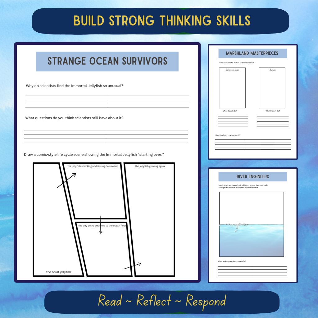 Upper Elementary Aquatic Journal