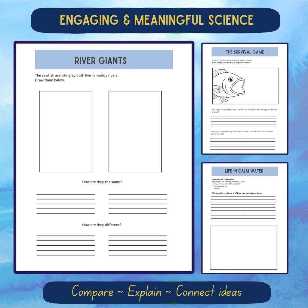 Upper Elementary Aquatic Journal