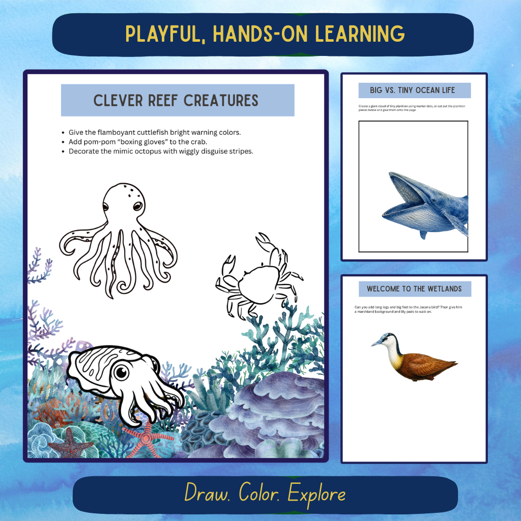 Pre-K Aquatic Journal