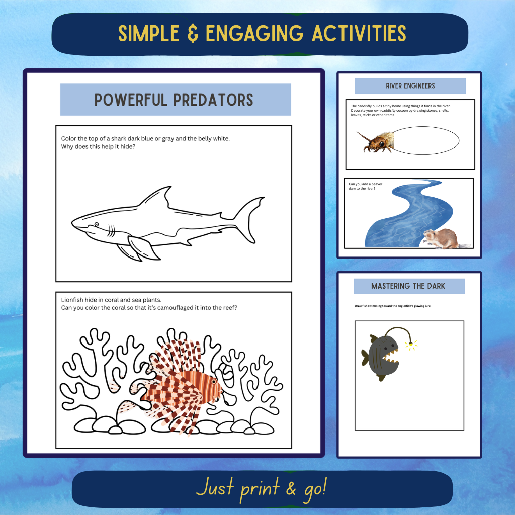 Pre-K Aquatic Journal