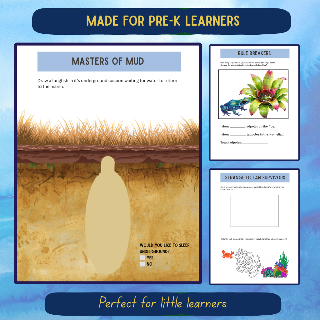 Pre-K Aquatic Journal