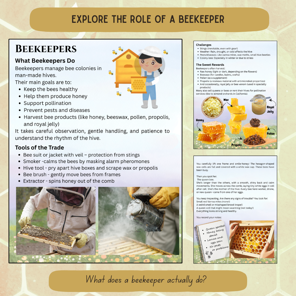Inside The Hive - Honeybee Unit