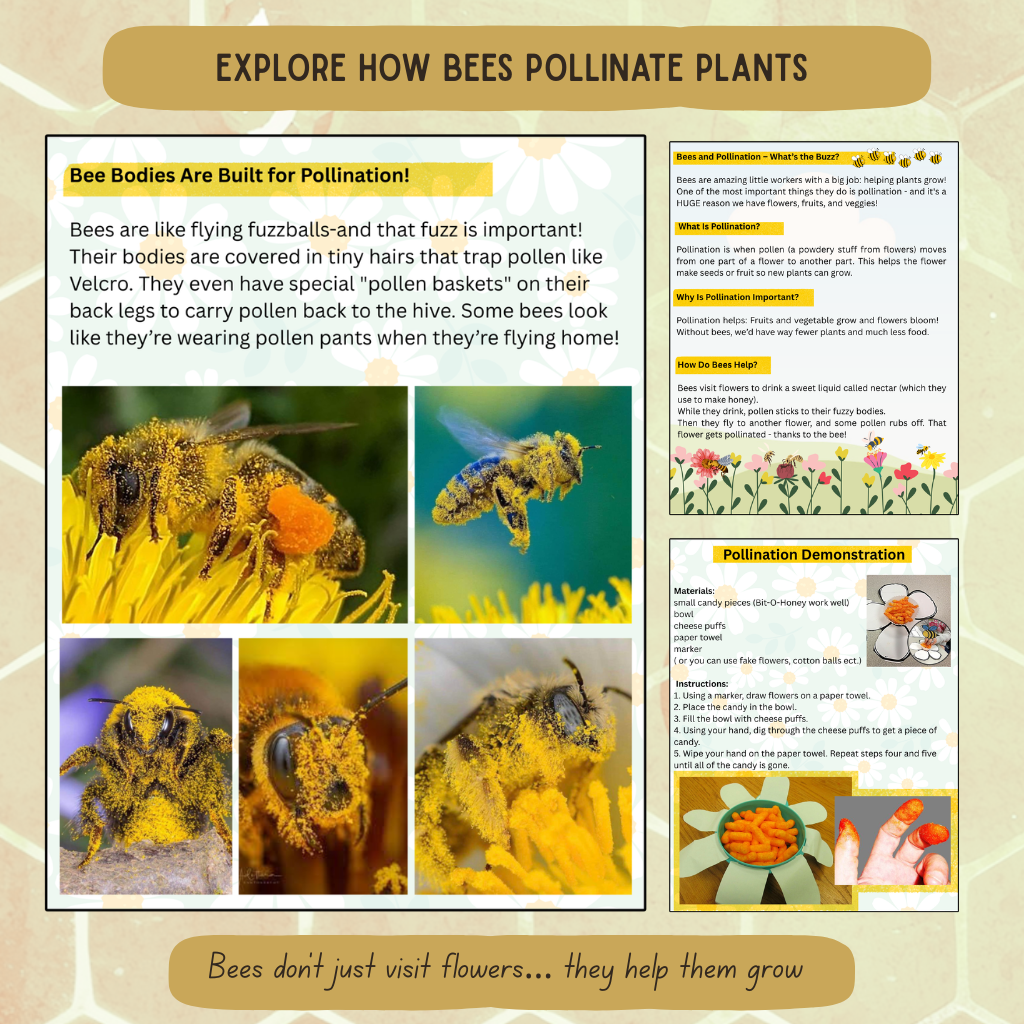 Inside The Hive - Honeybee Unit