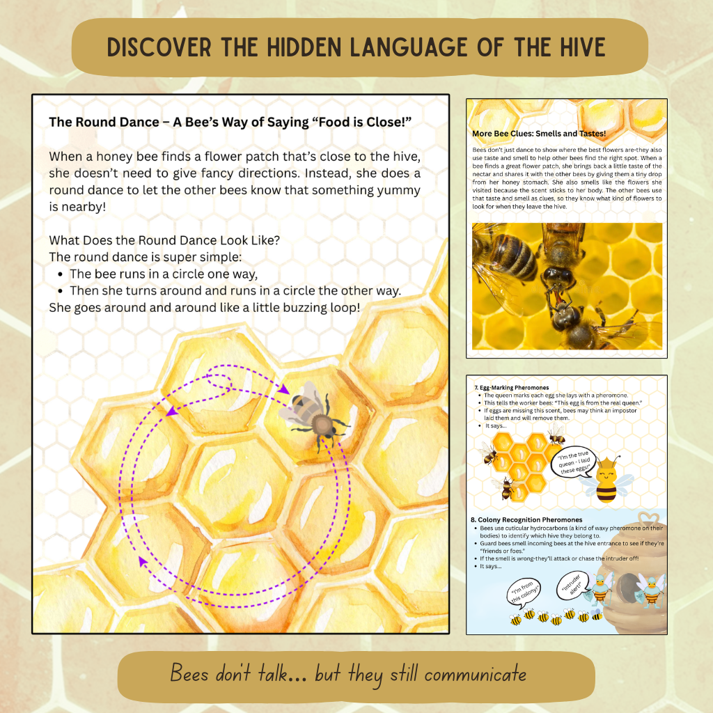 Inside The Hive - Honeybee Unit