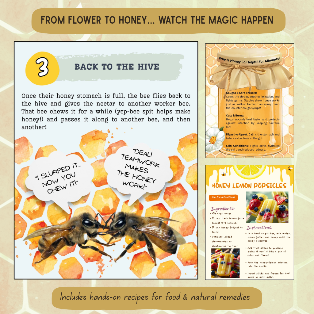 Inside The Hive - Honeybee Unit