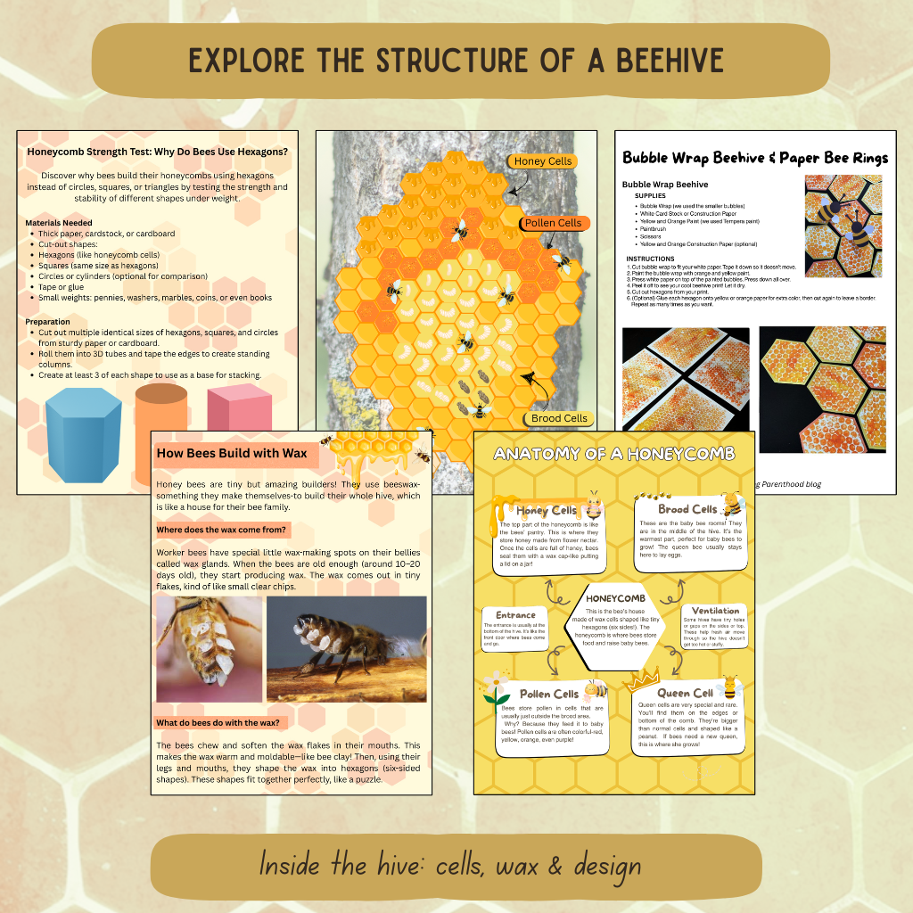 Inside The Hive - Honeybee Unit