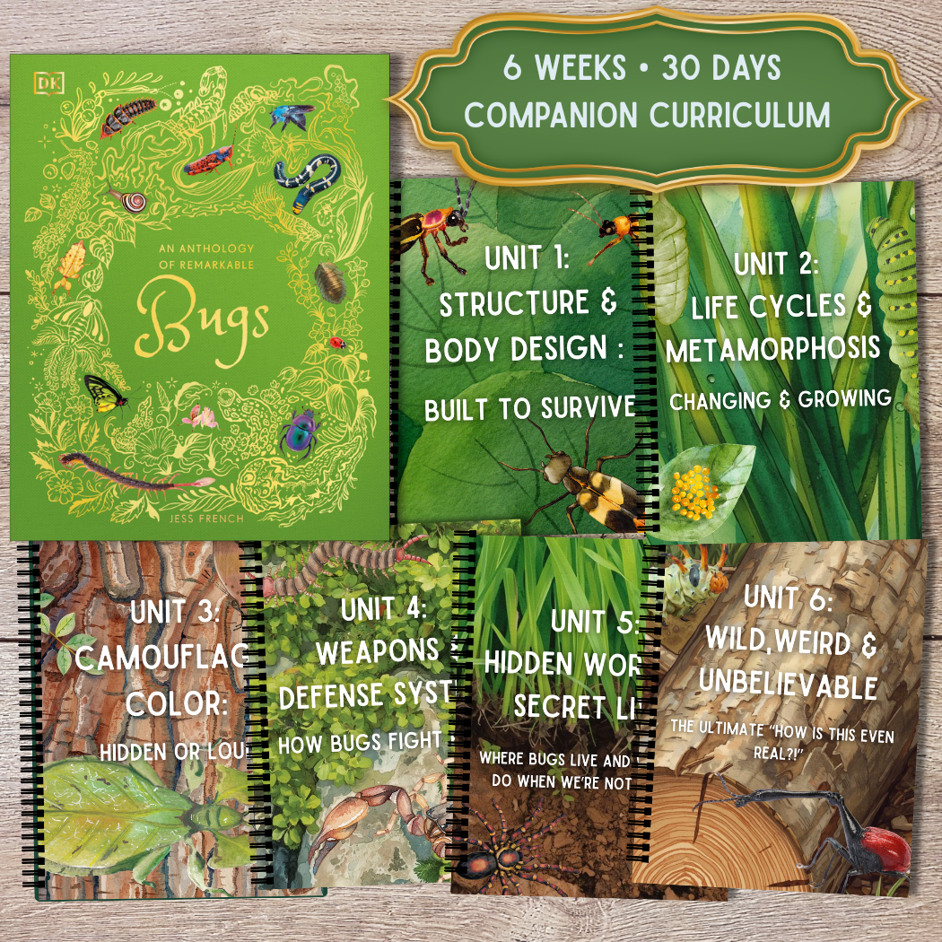 6-Week Bug Study | Hands-On Homeschool Science Curriculum