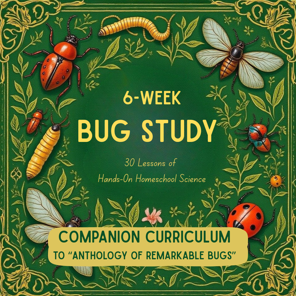 6-Week Bug Study | Hands-On Homeschool Science Curriculum