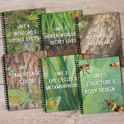 6-Week Bug Study | Hands-On Homeschool Science Curriculum