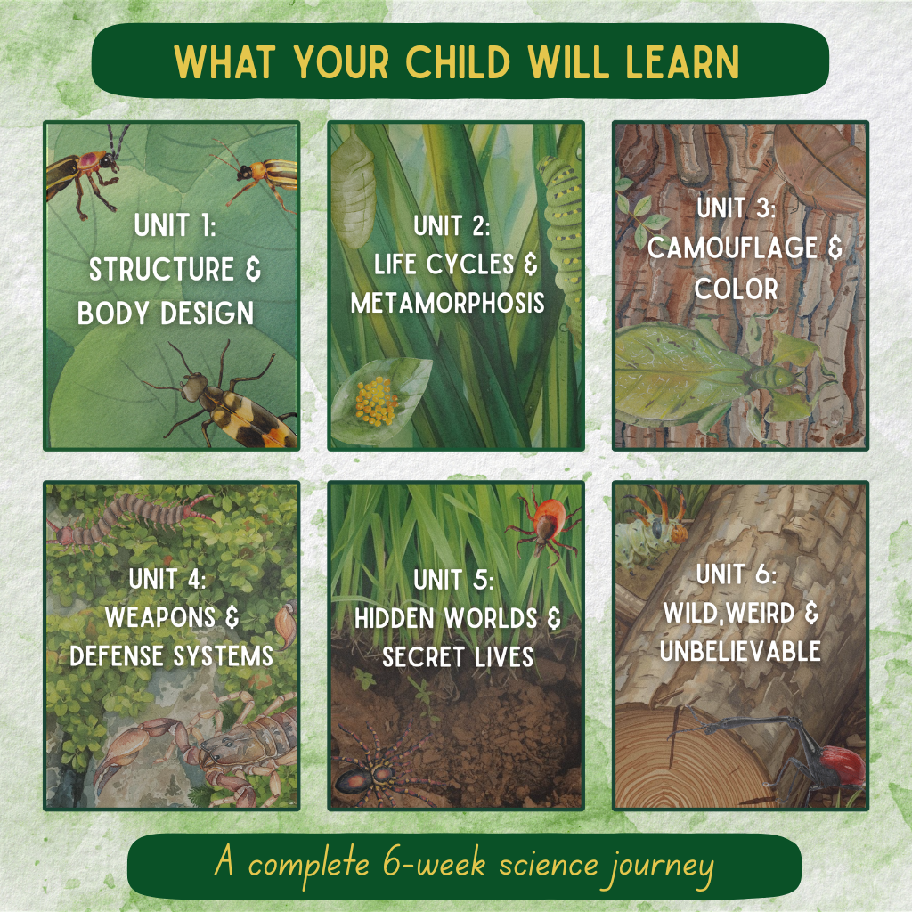 6-Week Bug Study | Hands-On Homeschool Science Curriculum