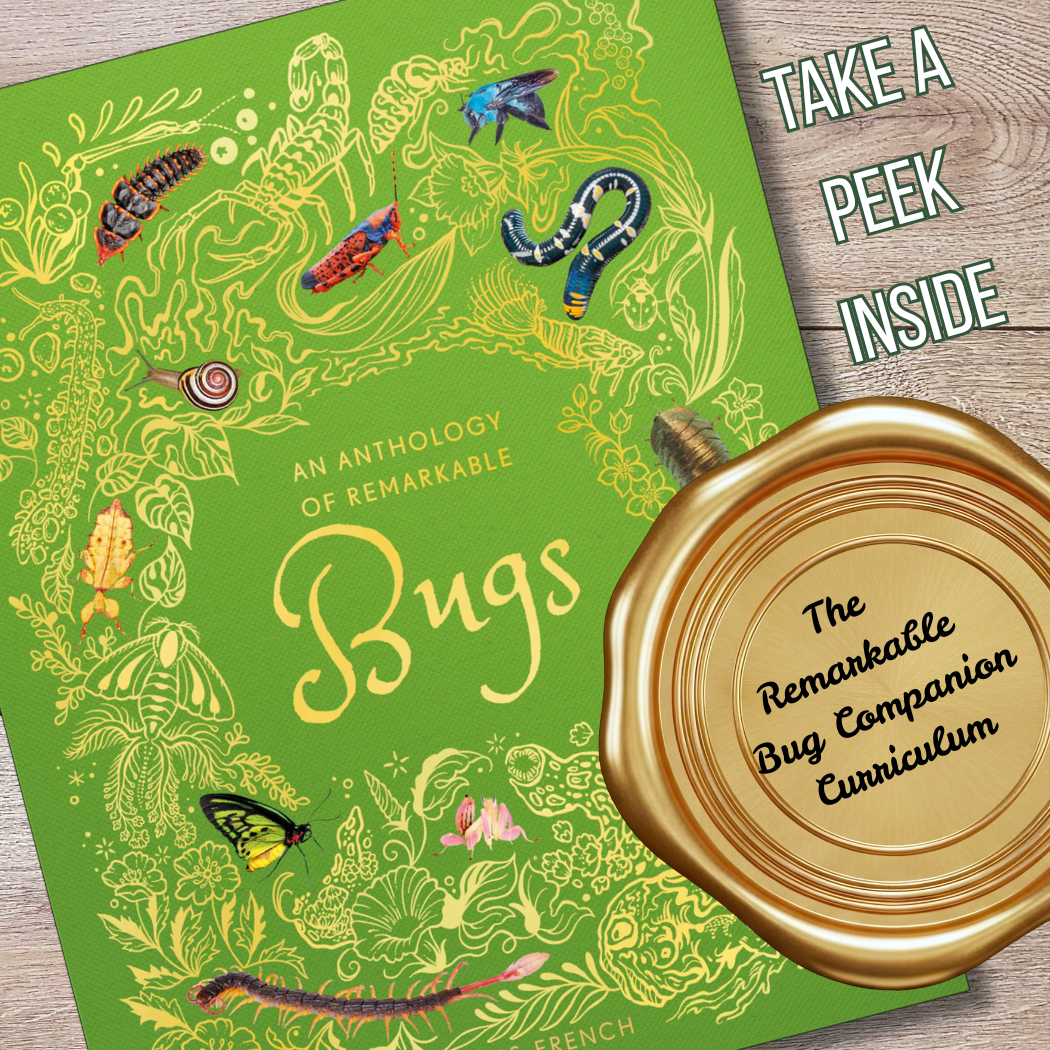 6-Week Bug Study | Hands-On Homeschool Science Curriculum