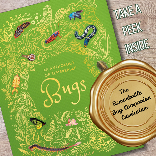 6-Week Bug Study | Hands-On Homeschool Science Curriculum