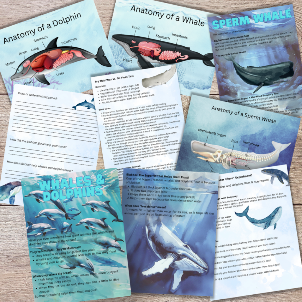 Buoyancy Through Animals | 90-Page Printable Science Unit