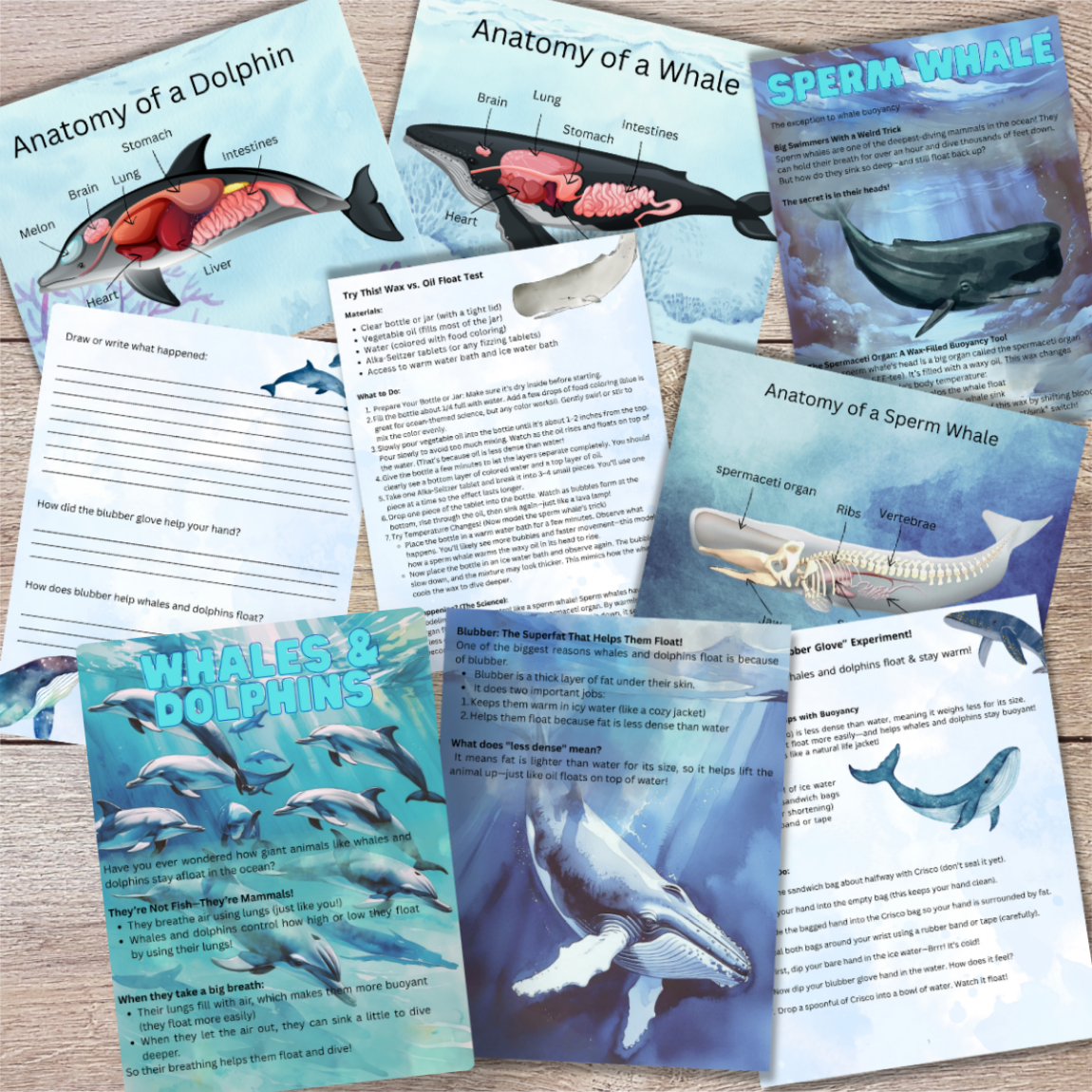 Buoyancy Through Animals | 90-Page Printable Science Unit