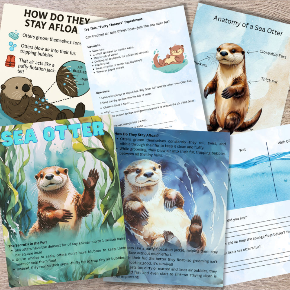 Buoyancy Through Animals | 90-Page Printable Science Unit
