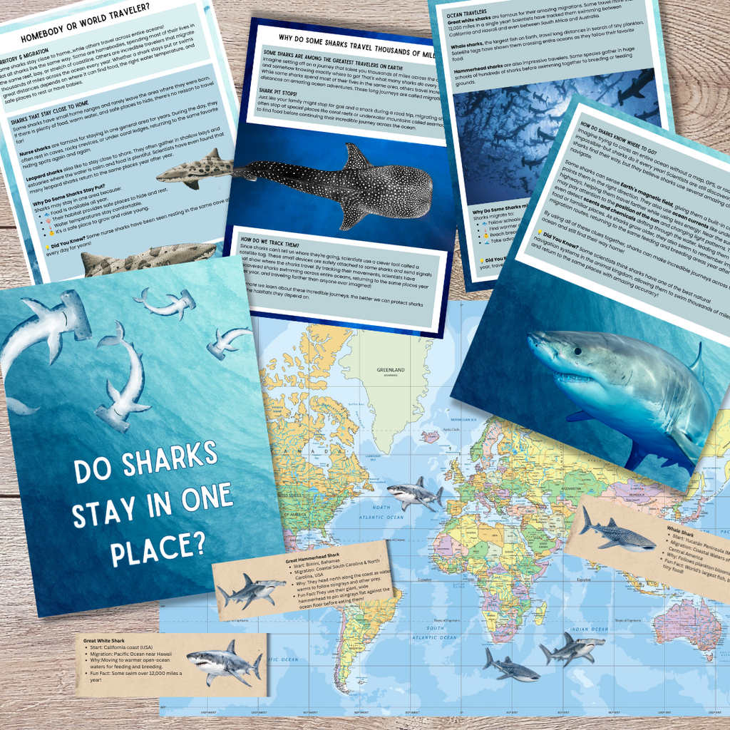 Ultimate Shark Unit Study