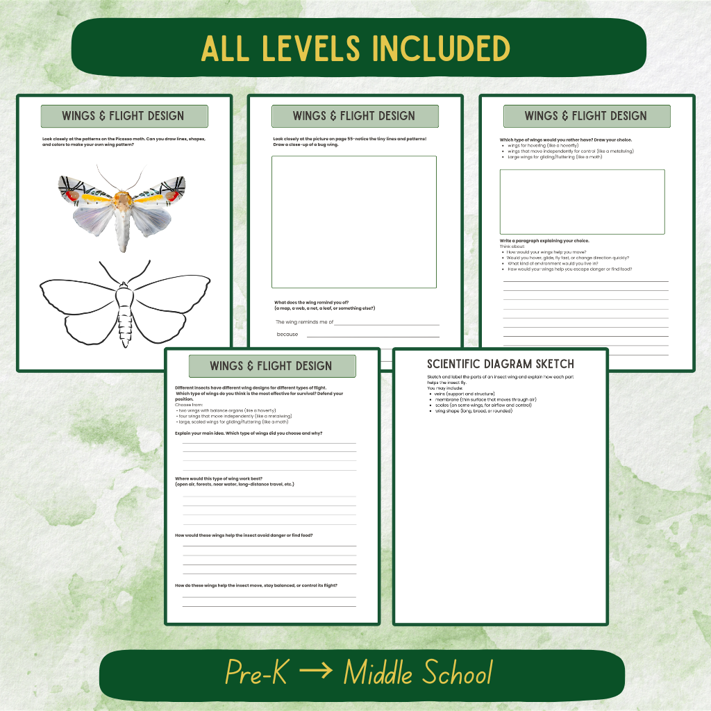 Bug Journal Bundle All Levels (Pre-K–Middle School)