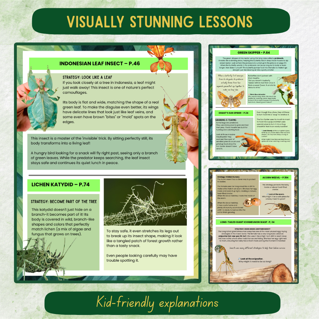 6-Week Bug Study | Hands-On Homeschool Science Curriculum
