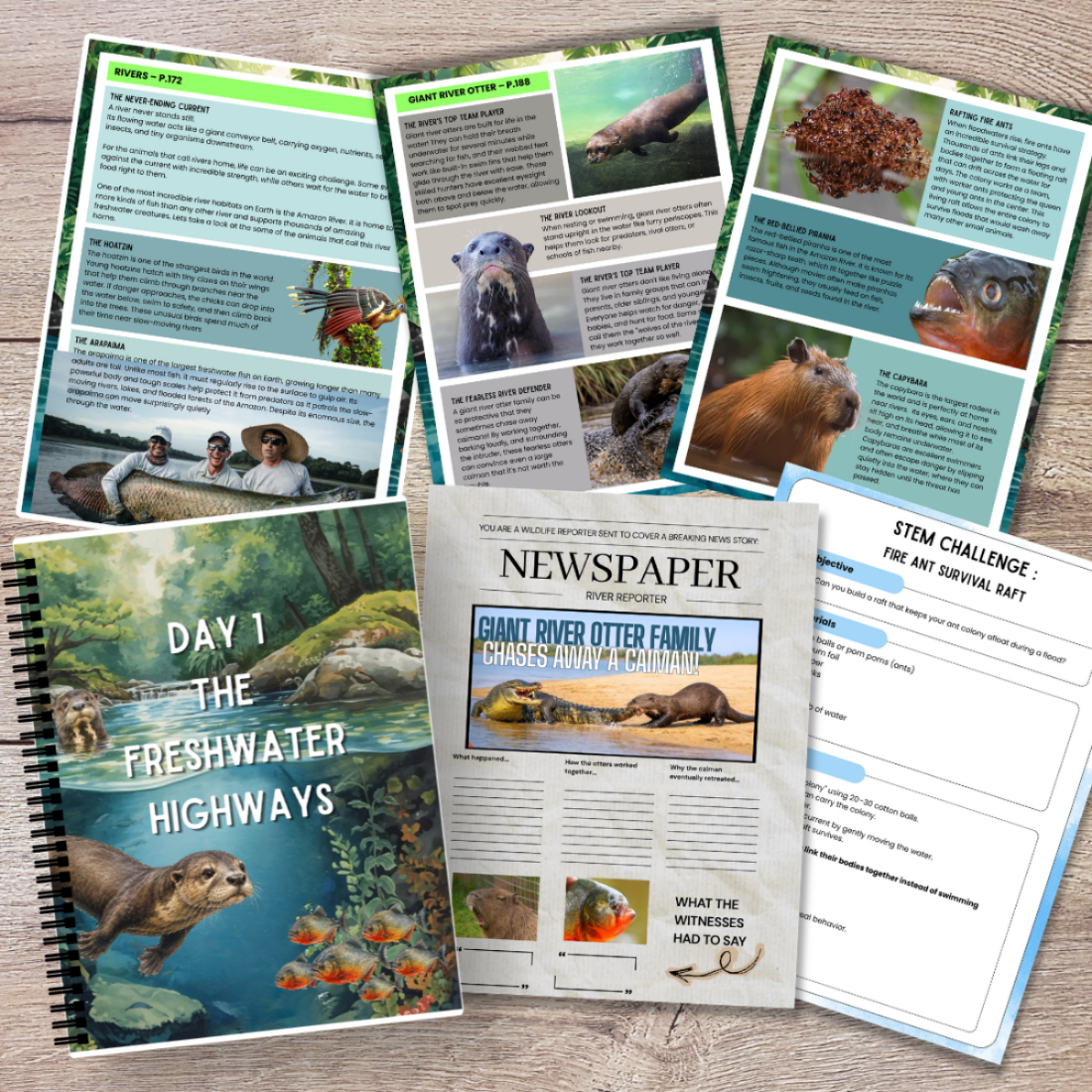 Anthology of Aquatic Life Companion Unit Study