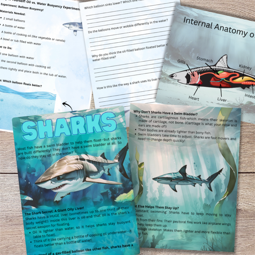 Buoyancy Through Animals | 90-Page Printable Science Unit