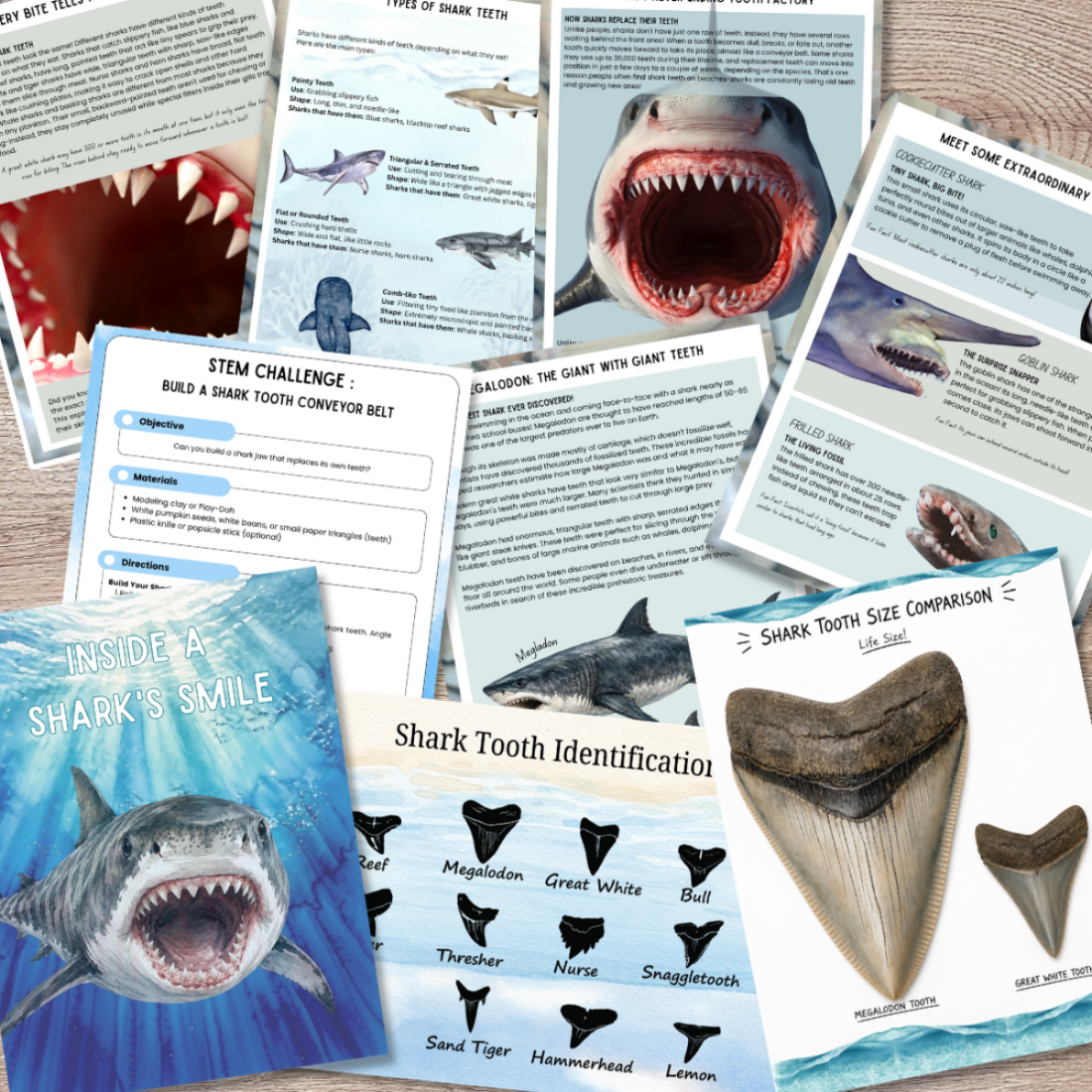Ultimate Shark Unit Study
