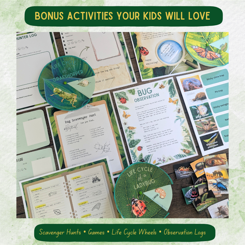 6-Week Bug Study | Hands-On Homeschool Science Curriculum