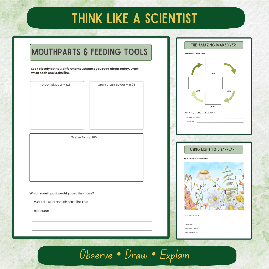 Early Elementary Bug Journal