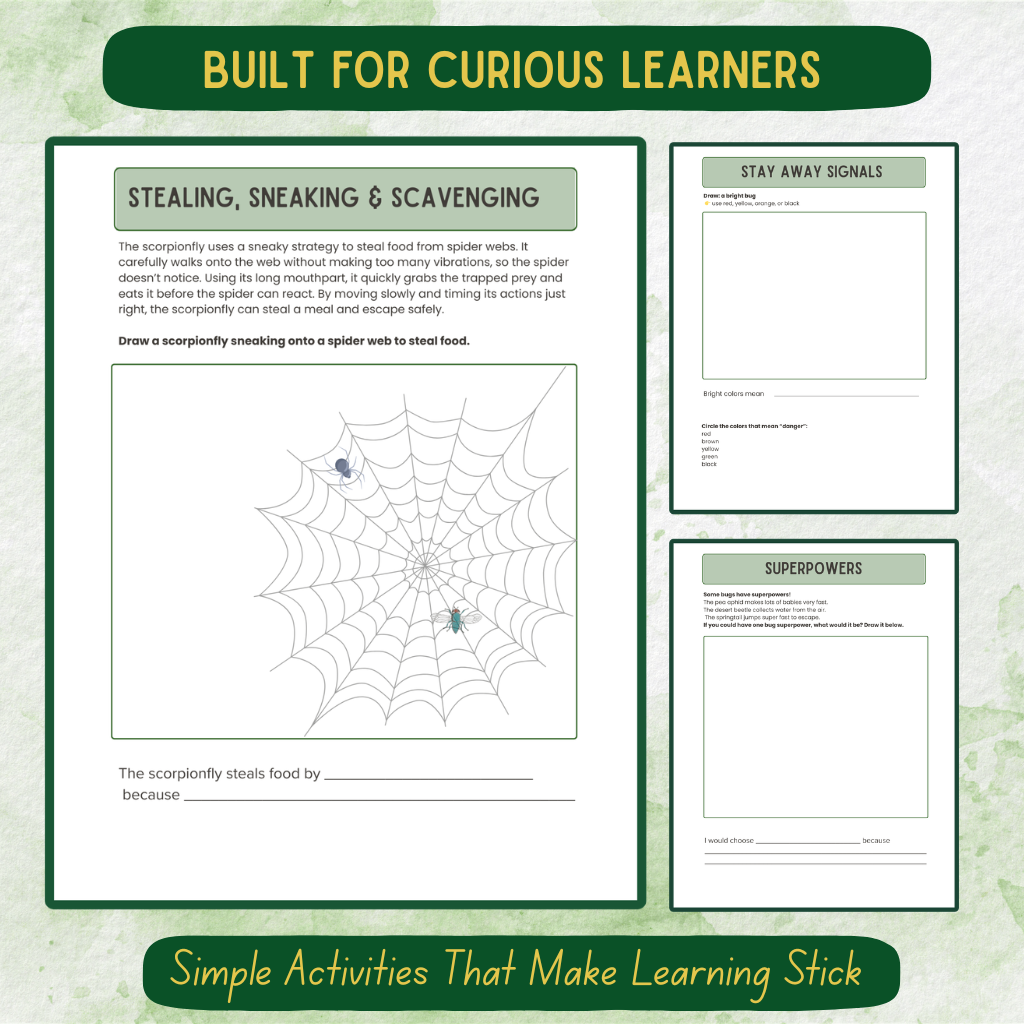 Early Elementary Bug Journal