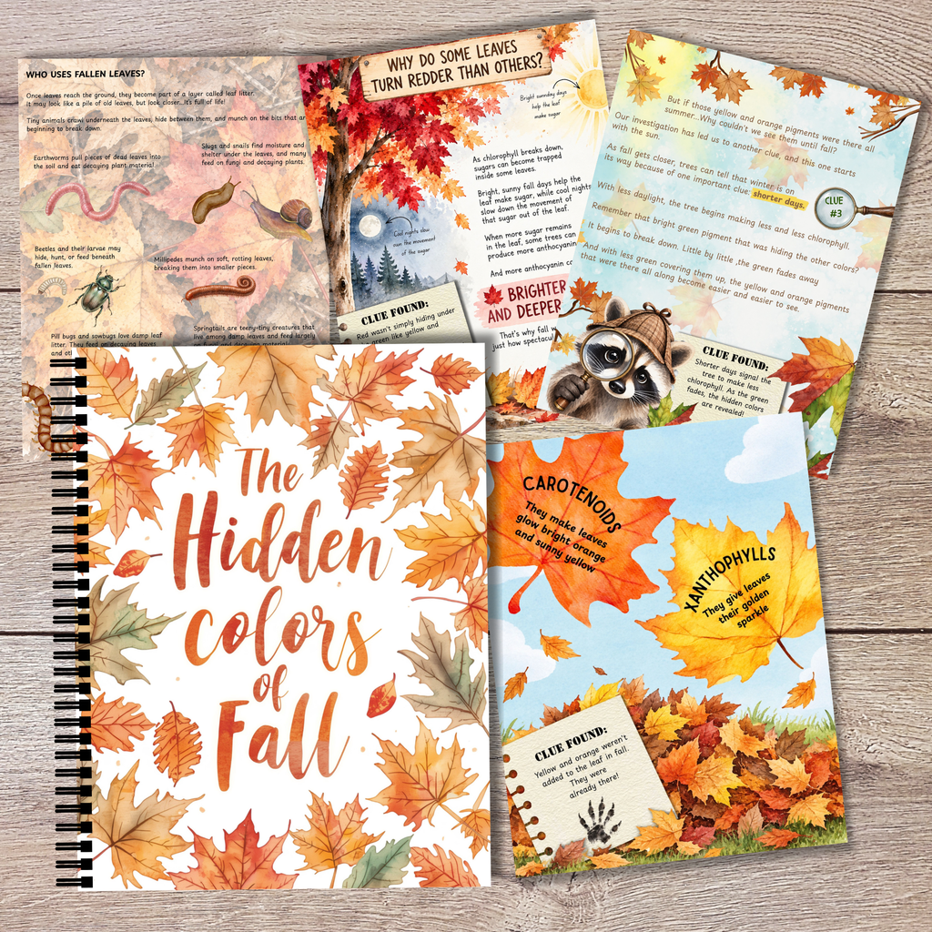 The Hidden Colors of Fall