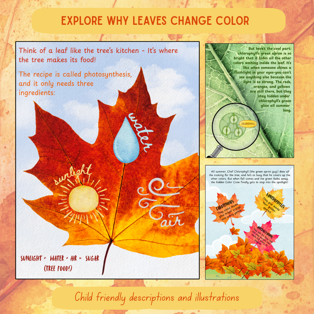 The Hidden Colors of Fall