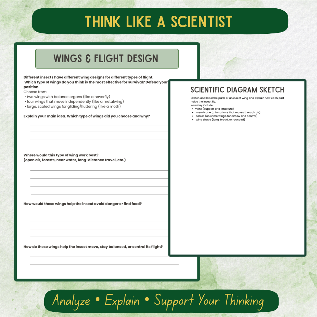 Middle School Bug Journal