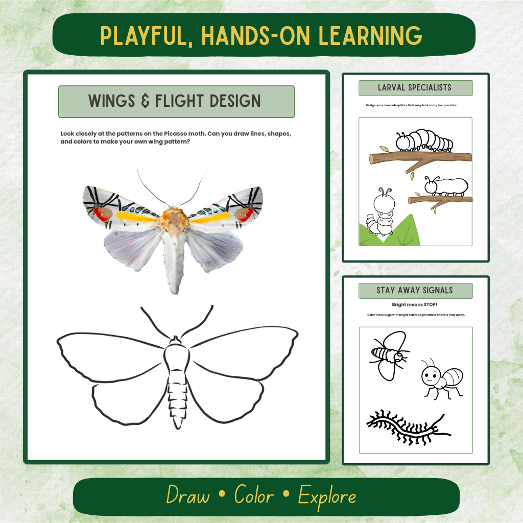 Pre-K Bug Journal