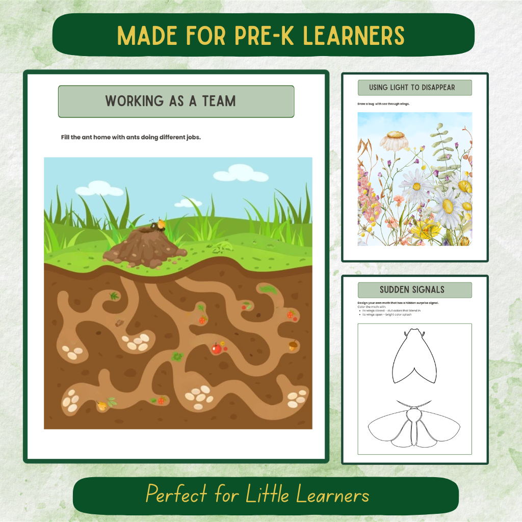 Pre-K Bug Journal