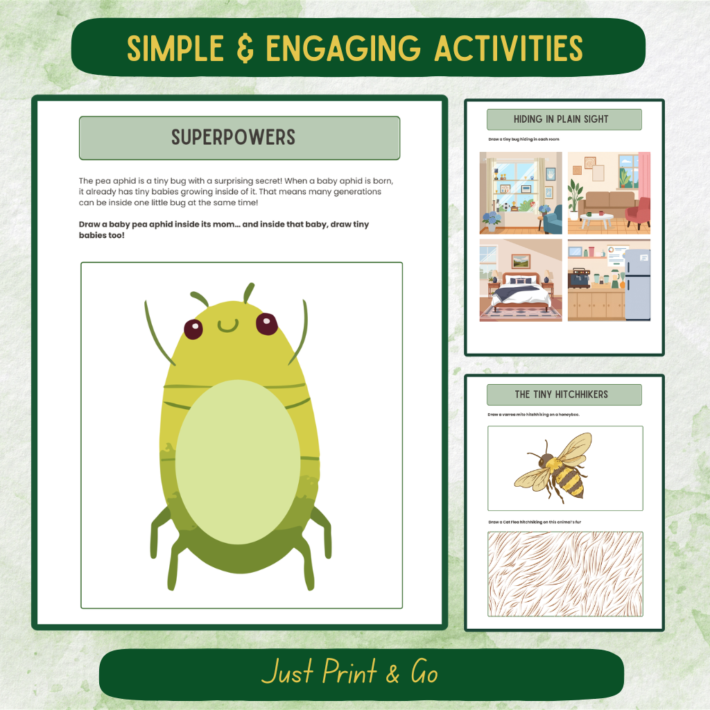 Pre-K Bug Journal