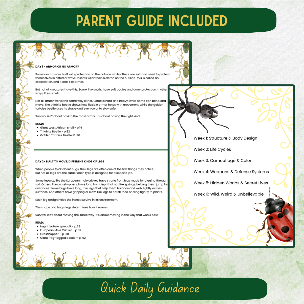 Bug Journal Bundle All Levels (Pre-K–Middle School)