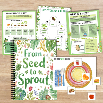 Plant Life Cycle Unit (K–2)