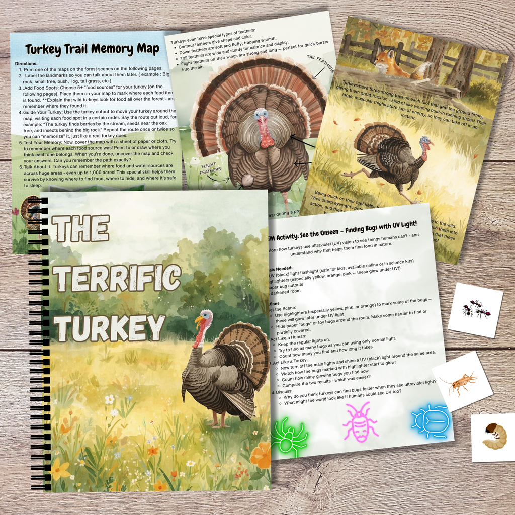 The Terrific Turkey