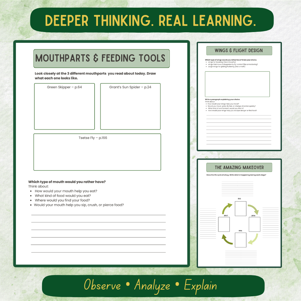 Upper Elementary Bug Journal