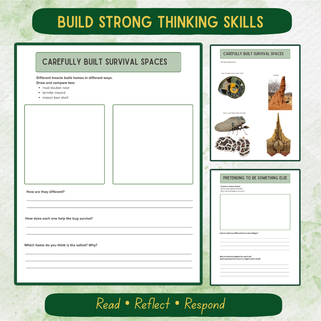 Upper Elementary Bug Journal