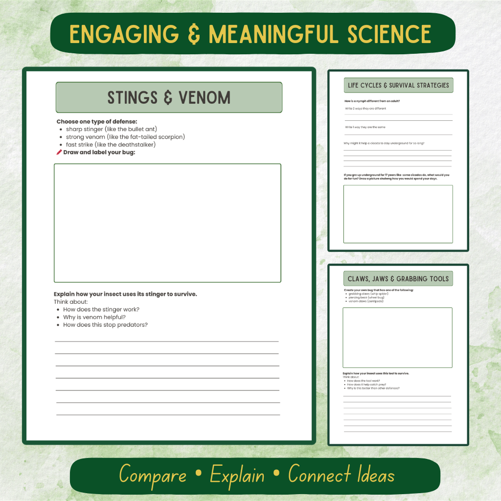 Upper Elementary Bug Journal