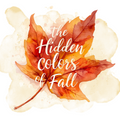 The Hidden Colors of Fall