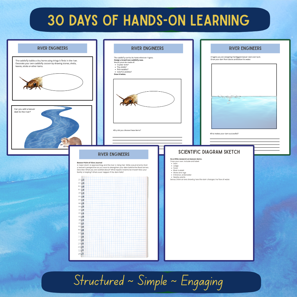 Aquatic Journal Bundle All Levels (Pre-K–Middle School)