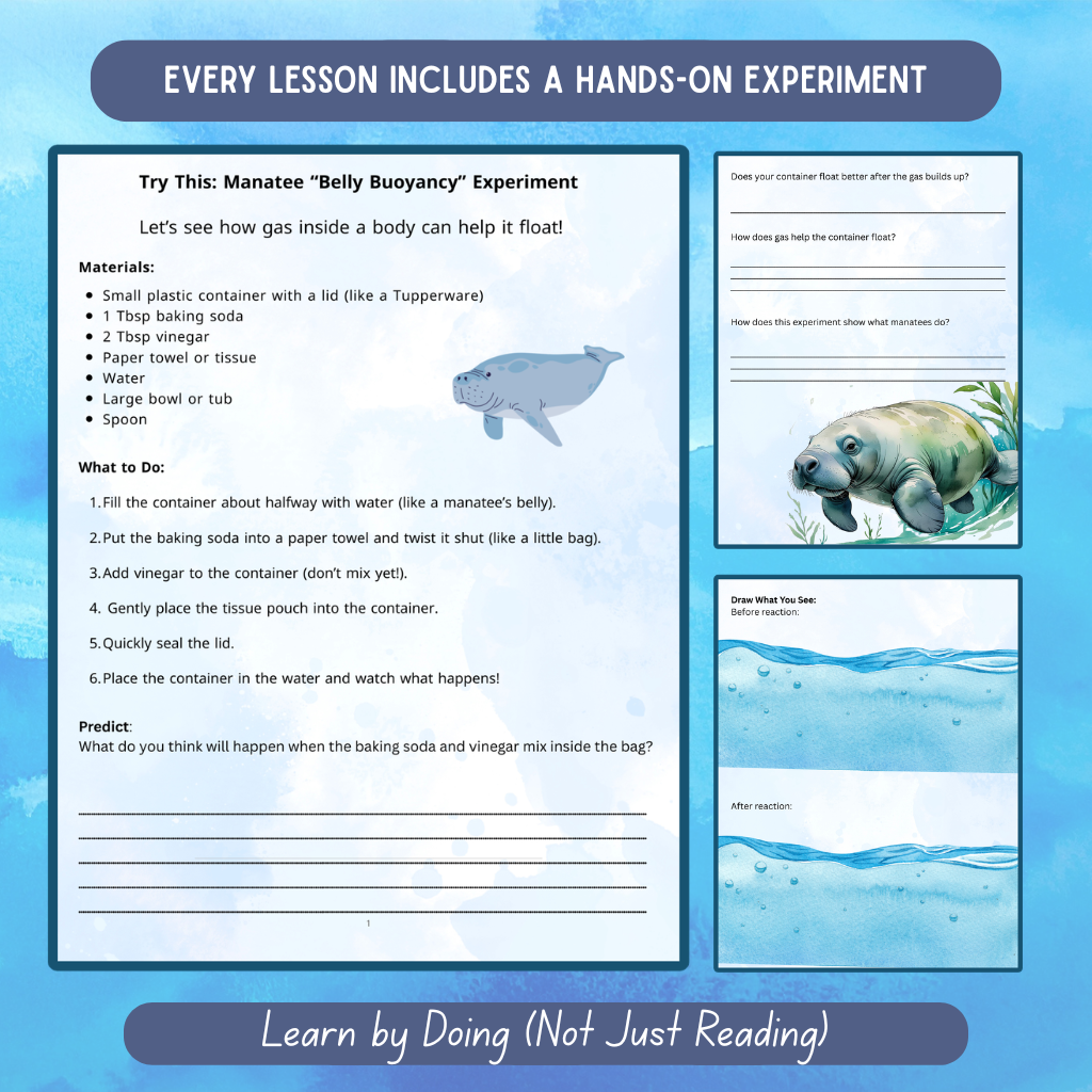 Buoyancy Through Animals | 90-Page Printable Science Unit